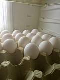 Продајем кокошја јаја dostava iz gradaСерпухов