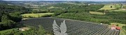 Borówka amerykańska na działce 3,2 ha i dom 140 m2 na Kosmaju # P471 # 1149 Belgrad